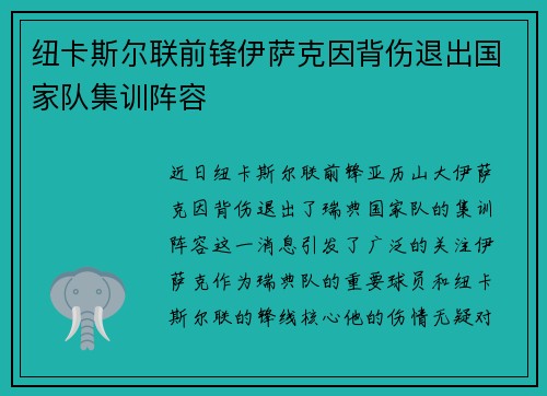 纽卡斯尔联前锋伊萨克因背伤退出国家队集训阵容